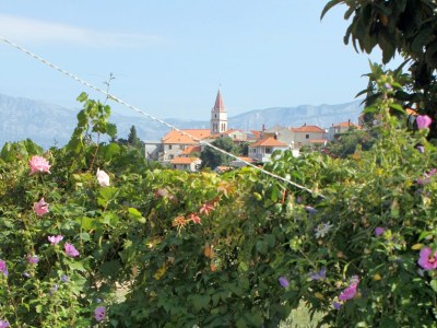 Apartment One bedroom apartment with terrace Postira, Brač A-5659-b - Outdoor photo 25