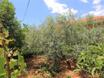 Apartment One bedroom apartment with terrace Trogir A-4814-d - Outdoor photo 10