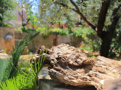 Holiday room with terrace and sea view Trogir S-4814-a - Outdoor photo 8