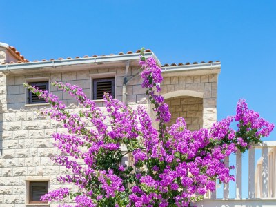 Apartment Apartments with parking space Supetar, Brač - 5670 - Outdoor photo 11