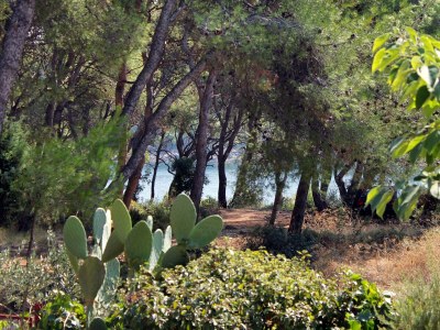 Apartment Two bedroom apartment with terrace and sea view Mudri Dolac, Hvar A-5694-a in Vrbanj - Apartment