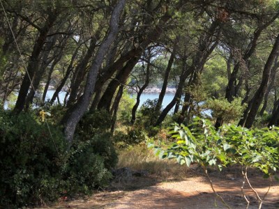 Apartment Two bedroom apartment with terrace and sea view Mudri Dolac, Hvar A-5694-a - Outdoor photo 29