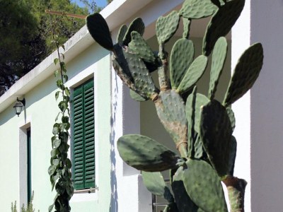 Apartment One bedroom apartment with terrace Mudri Dolac, Hvar A-5694-b - Outdoor photo 9