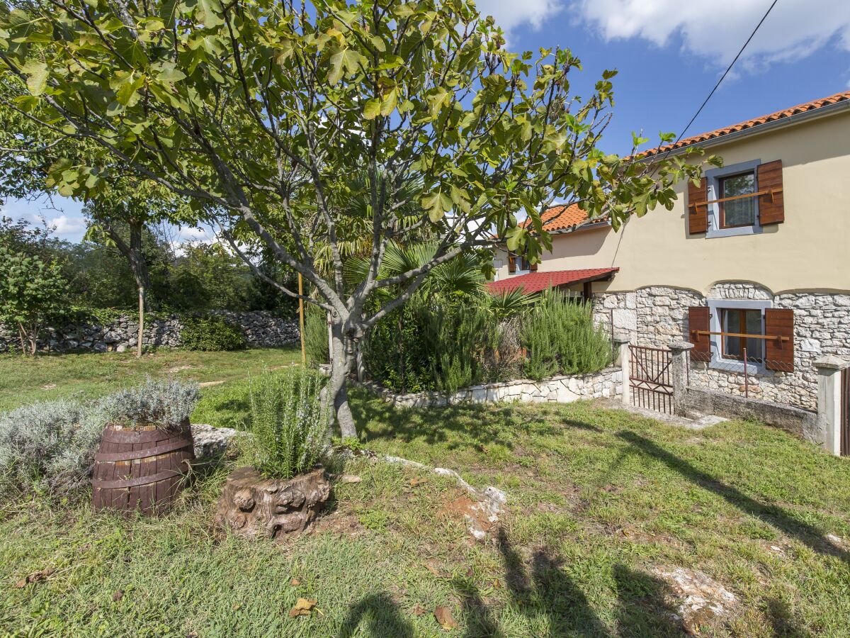 Holiday house Two bedroom house with terrace Mali Turini, Central Istria - Središnja Istra K-14136 - Outdoor photo 3