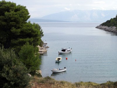 Apartment One bedroom apartment near beach Cove Prapratna - Prapatna, Hvar A-5704-d - Outdoor photo 21