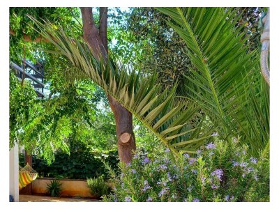 Apartment Two bedroom apartment with terrace and sea view Vir A-19217-a - Outdoor photo 3