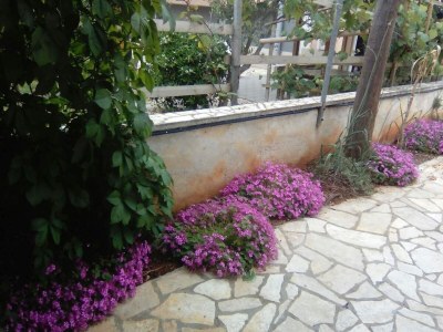 Apartment Two bedroom apartment with terrace and sea view Vir A-19217-a - Outdoor photo 4