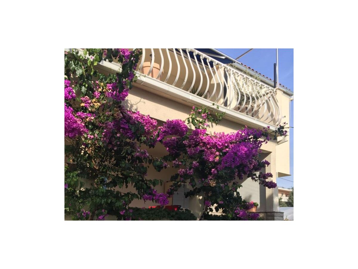 Apartment One bedroom apartment with terrace Kaštel Gomilica, Kaštela A-19248-a - Outdoor photo 5