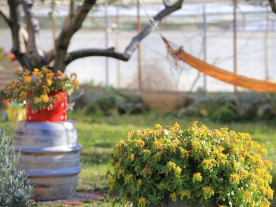 Apartment One bedroom apartment with terrace Kaštel Gomilica, Kaštela A-19248-a - Outdoor photo 12