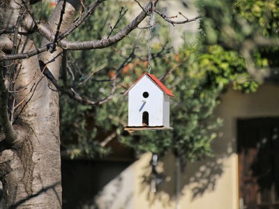 Apartment One bedroom apartment with terrace Kaštel Gomilica, Kaštela A-19248-a - Outdoor photo 16
