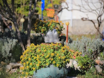 Apartment One bedroom apartment with terrace Kaštel Gomilica, Kaštela A-19248-a - Outdoor photo 21