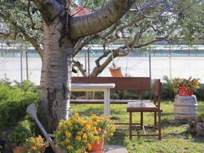Apartment One bedroom apartment with terrace Kaštel Gomilica, Kaštela A-19248-a - Outdoor photo 23