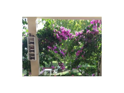 Apartment One bedroom apartment with terrace Kaštel Gomilica, Kaštela A-19248-a - Outdoor photo 45