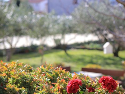 Apartment One bedroom apartment with terrace Kaštel Gomilica, Kaštela A-19248-a - Outdoor photo 46