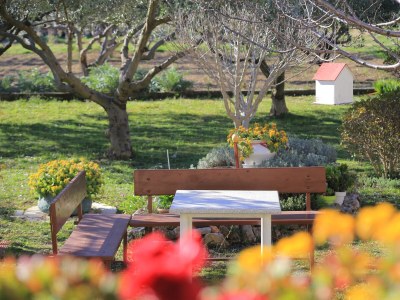 Apartment One bedroom apartment with terrace Kaštel Gomilica, Kaštela A-19248-a - Outdoor photo 47