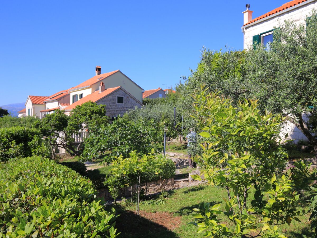 Apartment Studio flat with terrace Splitska, Brač AS-17023-a - Outdoor photo 5