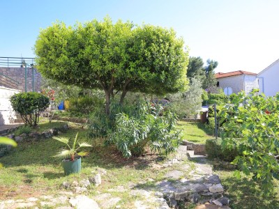 Apartment Studio flat with terrace Splitska, Brač AS-17023-a - Outdoor photo 11