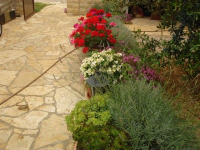 Apartment Two bedroom apartment with terrace Biograd na Moru, Biograd A-15661-a - Outdoor photo 7