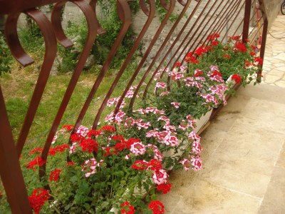 Apartment Two bedroom apartment with terrace Biograd na Moru, Biograd A-15661-a - Outdoor photo 8