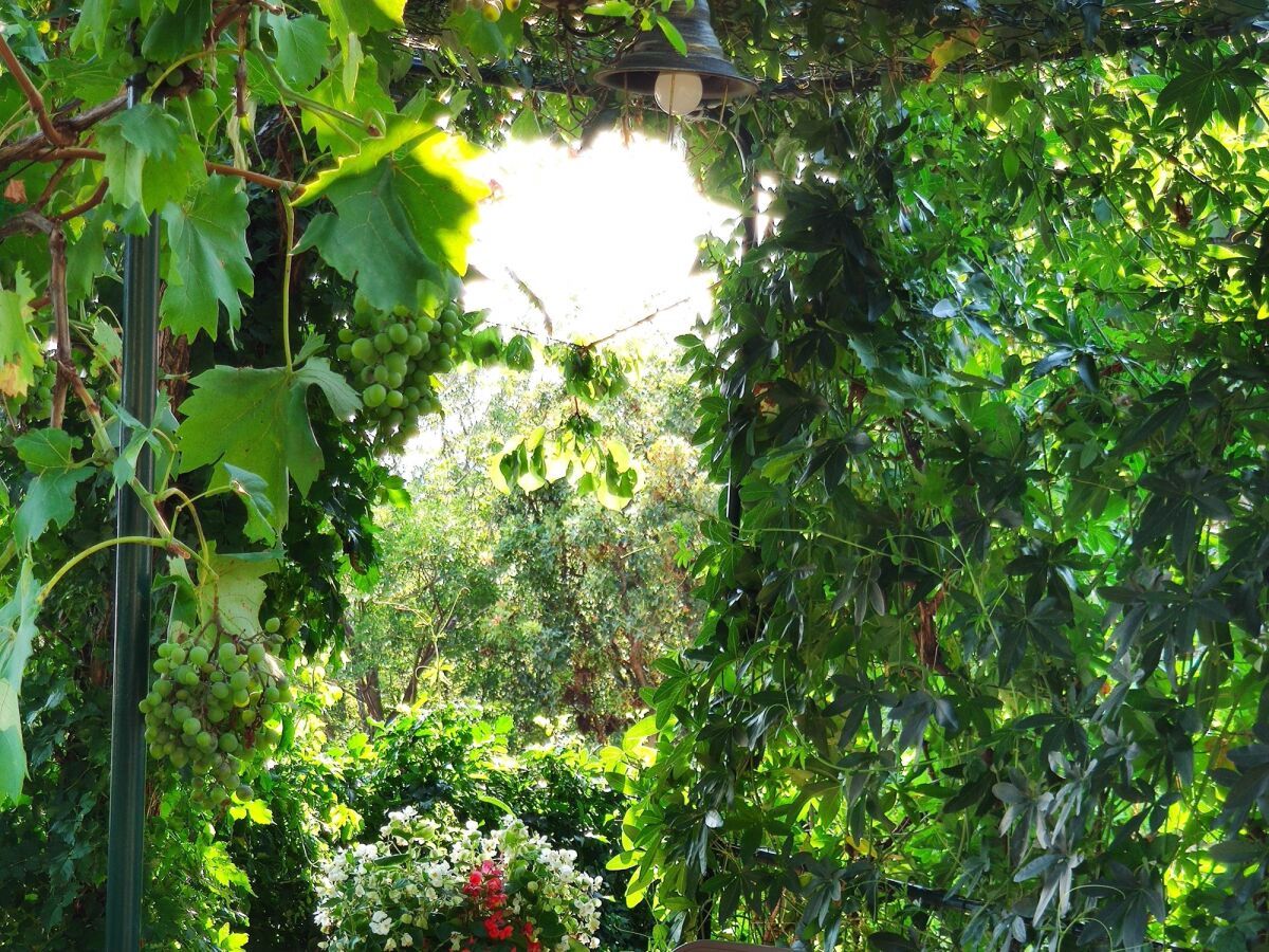 Apartment Studio flat with air-conditioning Šmrika, Kraljevica AS-15709-a - Outdoor photo 4