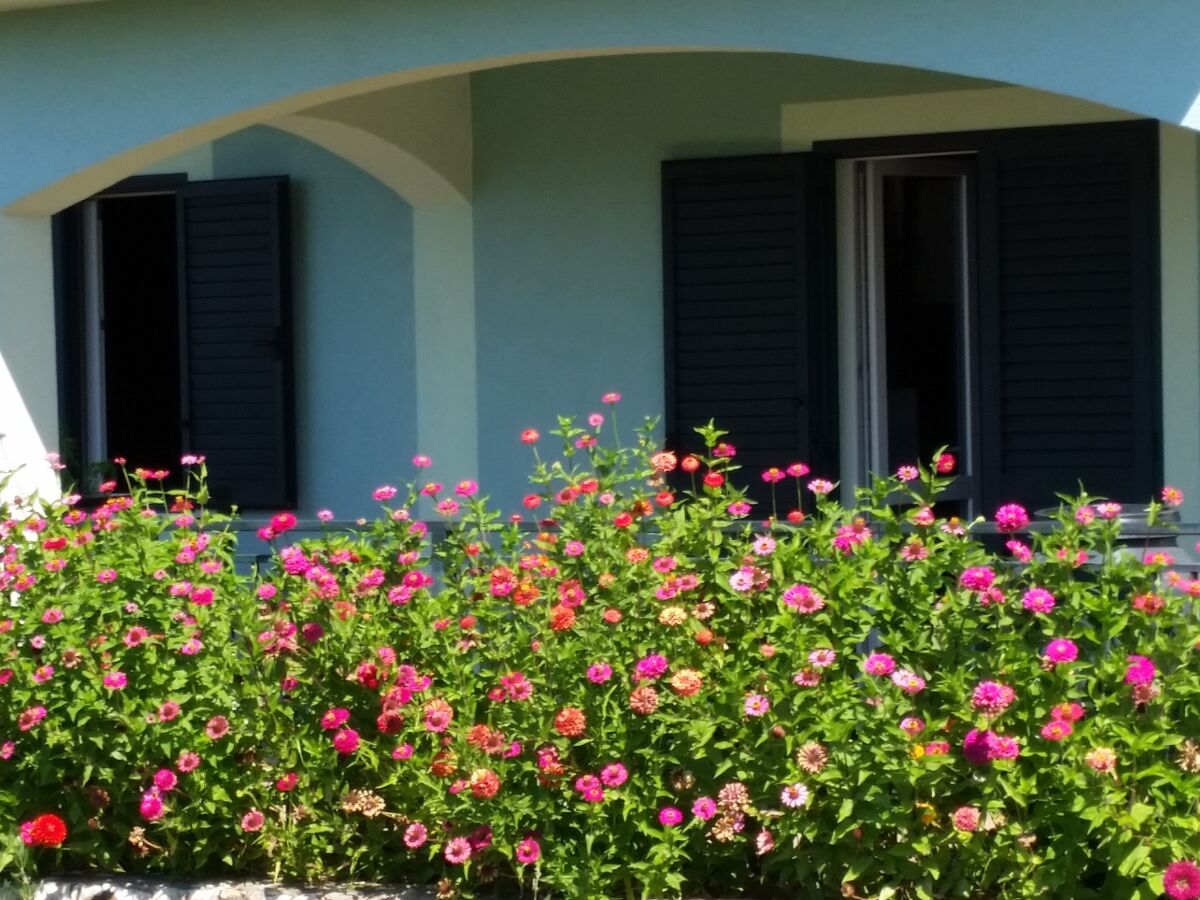 Apartment Three bedroom apartment with terrace and sea view Sevid, Trogir A-16111-a - Outdoor photo 3