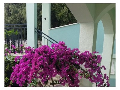 Apartment Three bedroom apartment with terrace and sea view Sevid, Trogir A-16111-a - Outdoor photo 6