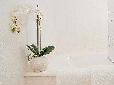 Apartment Two bedroom apartment with terrace and sea view Nečujam, Šolta A-16727-a - Outdoor photo 23