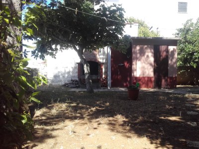 Apartment Two bedroom apartment with terrace and sea view Povljana, Pag A-17222-a - Outdoor photo 2