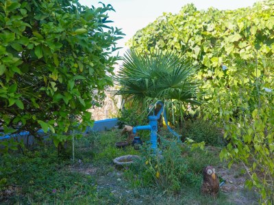Apartment Two bedroom apartment with terrace and sea view Ražanj, Rogoznica A-17328-a - Outdoor photo 9