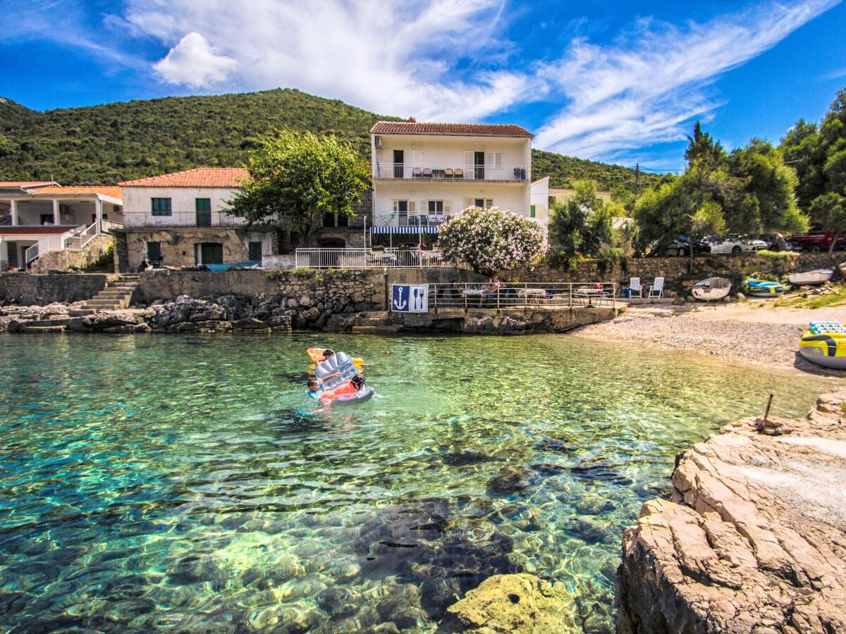 Apartment Two bedroom apartment near beach Cove Zarace (Gdinj), Hvar A-9675-a