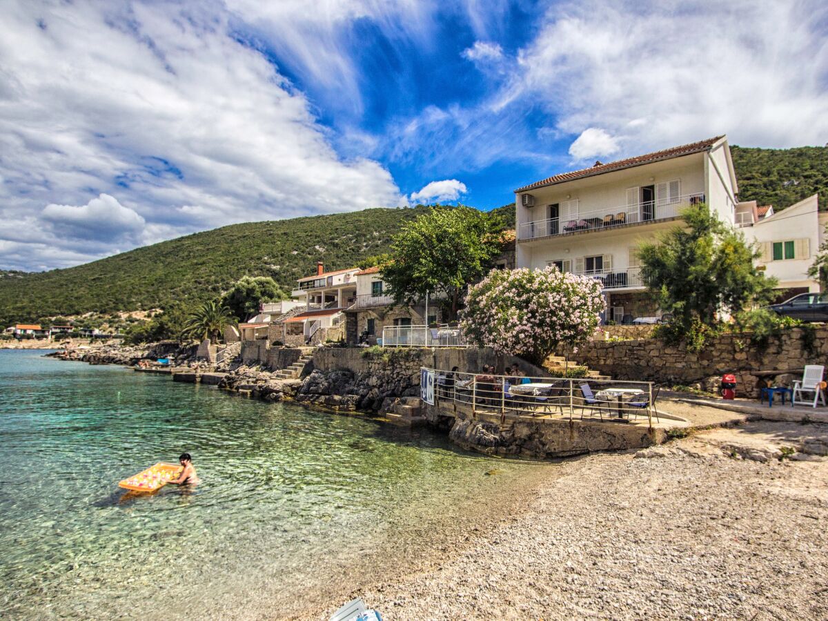 Apartment Two bedroom apartment near beach Cove Zarace (Gdinj), Hvar A-9675-a - Outdoor photo 3