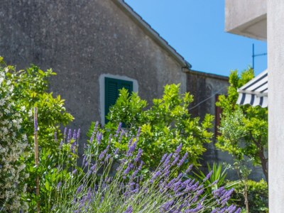 Apartment One bedroom apartment with terrace Kaštel Stari, Kaštela A-20999-a - Outdoor photo 9