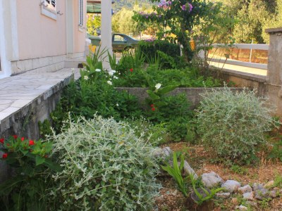 Apartment Apartments with parking space Orebić, Pelješac - 10250 - Outdoor photo 6