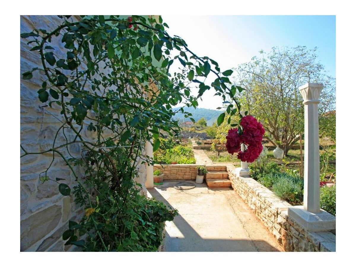 Holiday house Two bedroom house with terrace Vela Luka, Korčula K-21165 - Outdoor photo 3