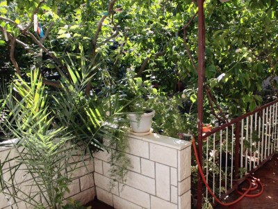 Apartment One bedroom apartment with terrace Stari Grad, Hvar A-5724-a - Outdoor photo 18