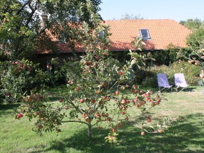 Holiday house La Petite Maison - Outdoor photo 4