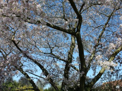 Holiday house La Petite Maison - Outdoor photo 7