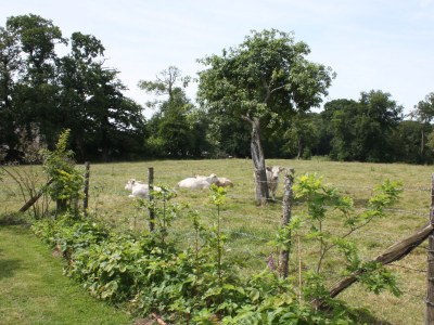 Holiday house La Petite Maison - Outdoor photo 8