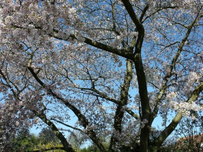 Holiday house La Petite Maison - Outdoor photo 57