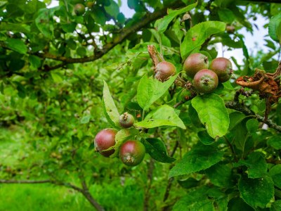 Holiday house La Petite Maison - Outdoor photo 60