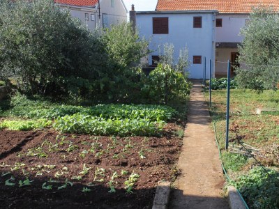 Apartment Comfortable and spacious apartment with terrace and sea view Brodarica, Šibenik A-5736-a - Outdoor photo 8