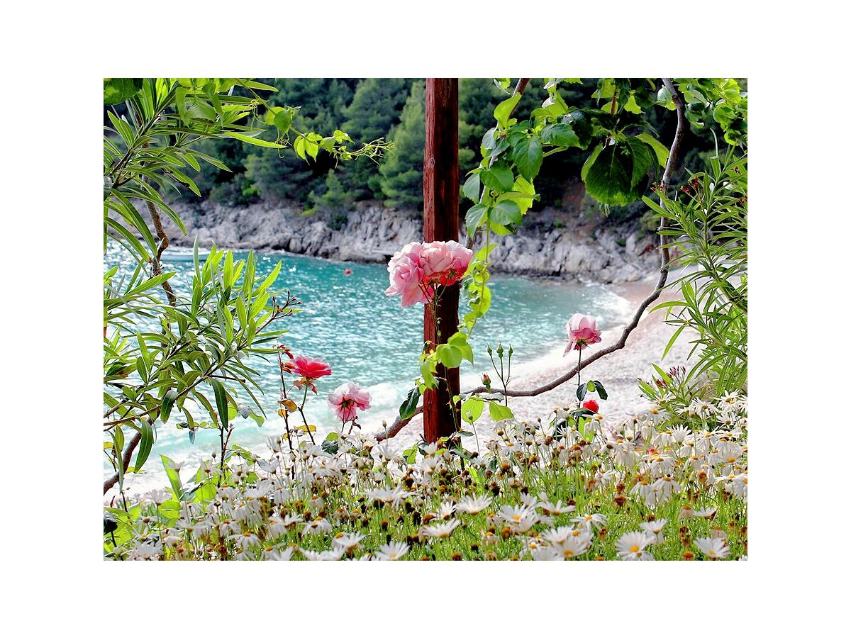 Apartment Two bedroom apartment near beach Cove Skozanje, Hvar A-5713-a