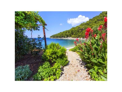 Apartment Two bedroom apartment near beach Cove Skozanje, Hvar A-5713-a - Outdoor photo 7