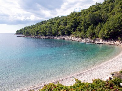 Apartment Two bedroom apartment near beach Cove Skozanje, Hvar A-5713-c - Outdoor photo 22