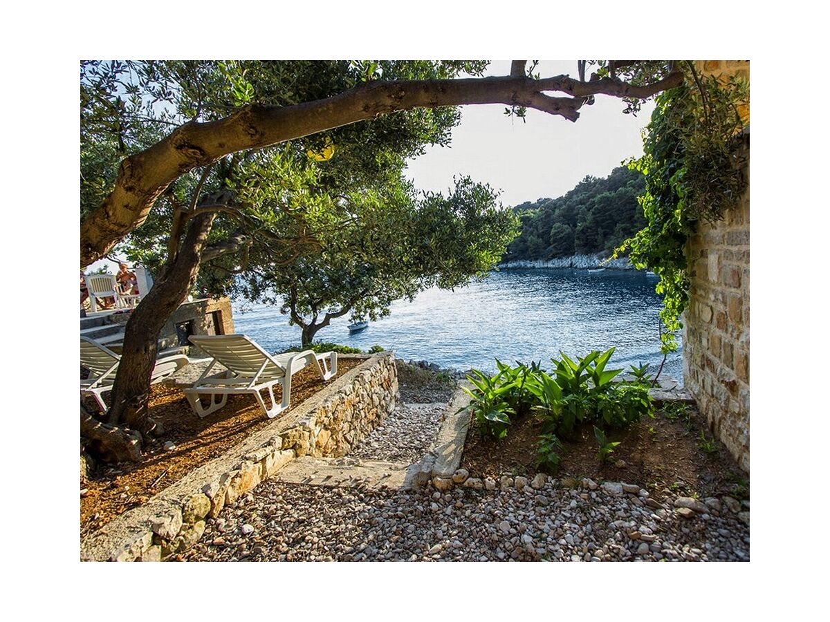 Apartment Two bedroom apartment near beach Cove Skozanje, Hvar A-5713-d