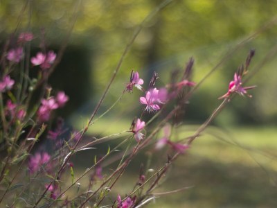 Holiday house One bedroom house with terrace Graberje Ivaničko, Prigorje K-21324 - Outdoor photo 5
