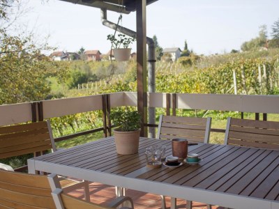 Holiday house One bedroom house with terrace Graberje Ivaničko, Prigorje K-21324 - Outdoor photo 14