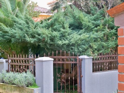 Apartment One bedroom apartment with balcony Novalja, Pag A-11512-a - Outdoor photo 3