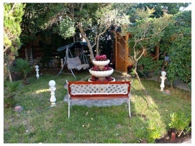 Apartment Two bedroom apartment with terrace Nin, Zadar A-5858-e - Outdoor photo 12