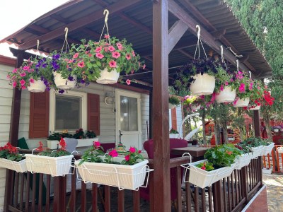 Apartment Two bedroom apartment with terrace Nin, Zadar A-5858-e - Outdoor photo 31